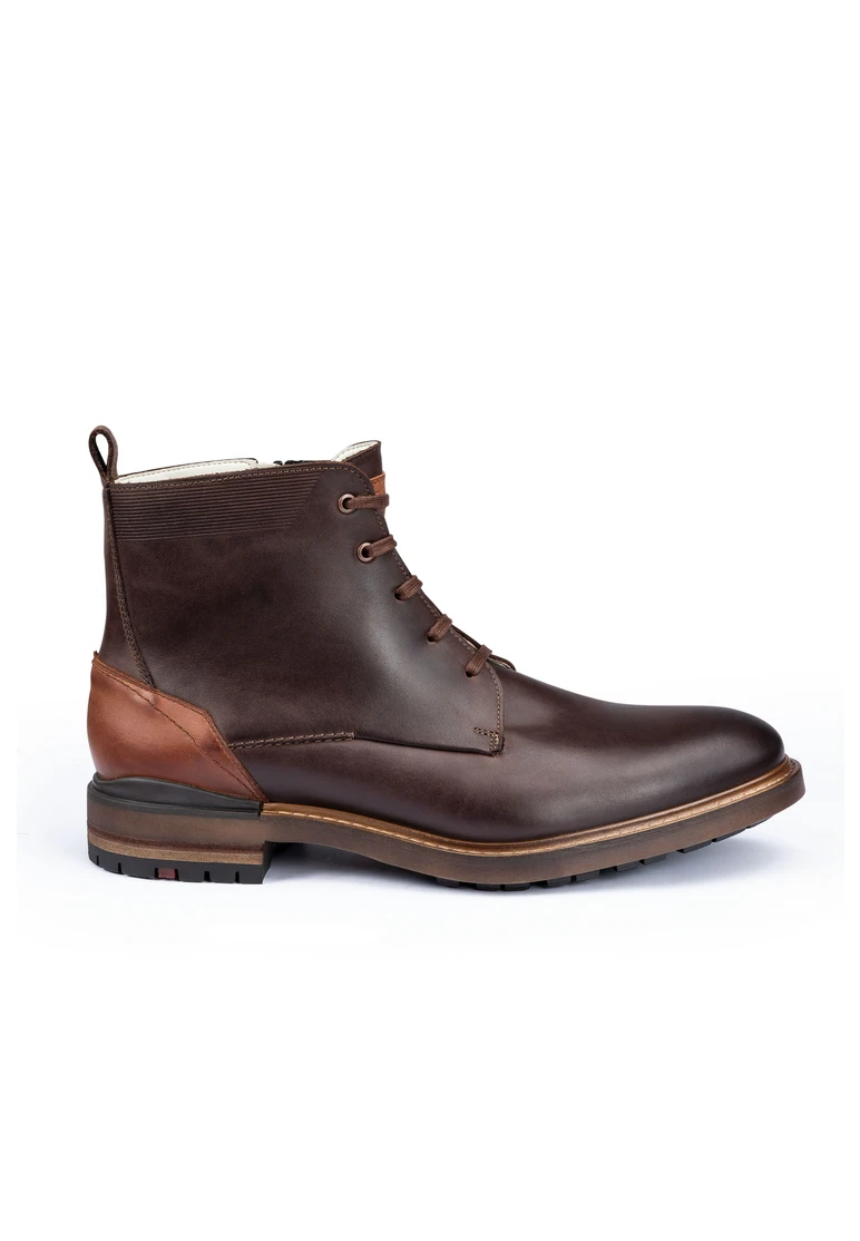 Lloyd HASCO Art. 24-511-35 Saisonale Angebote