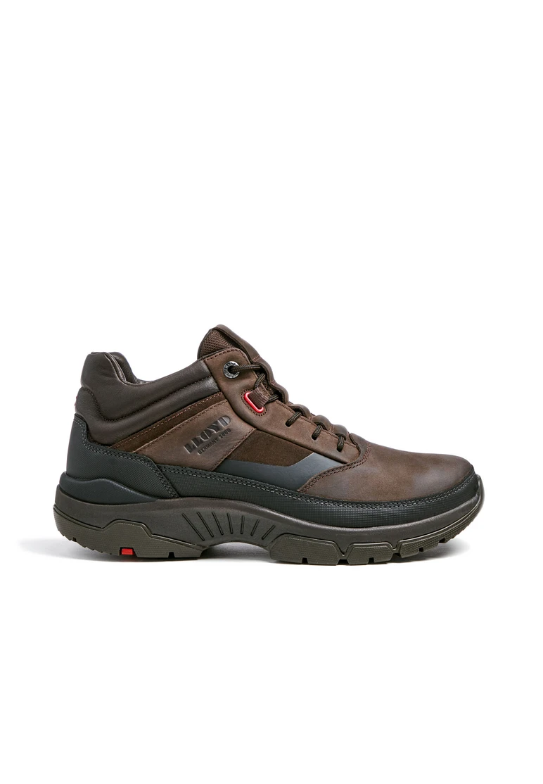 Lloyd EDD Art. 23-901-34 Exklusivangebot