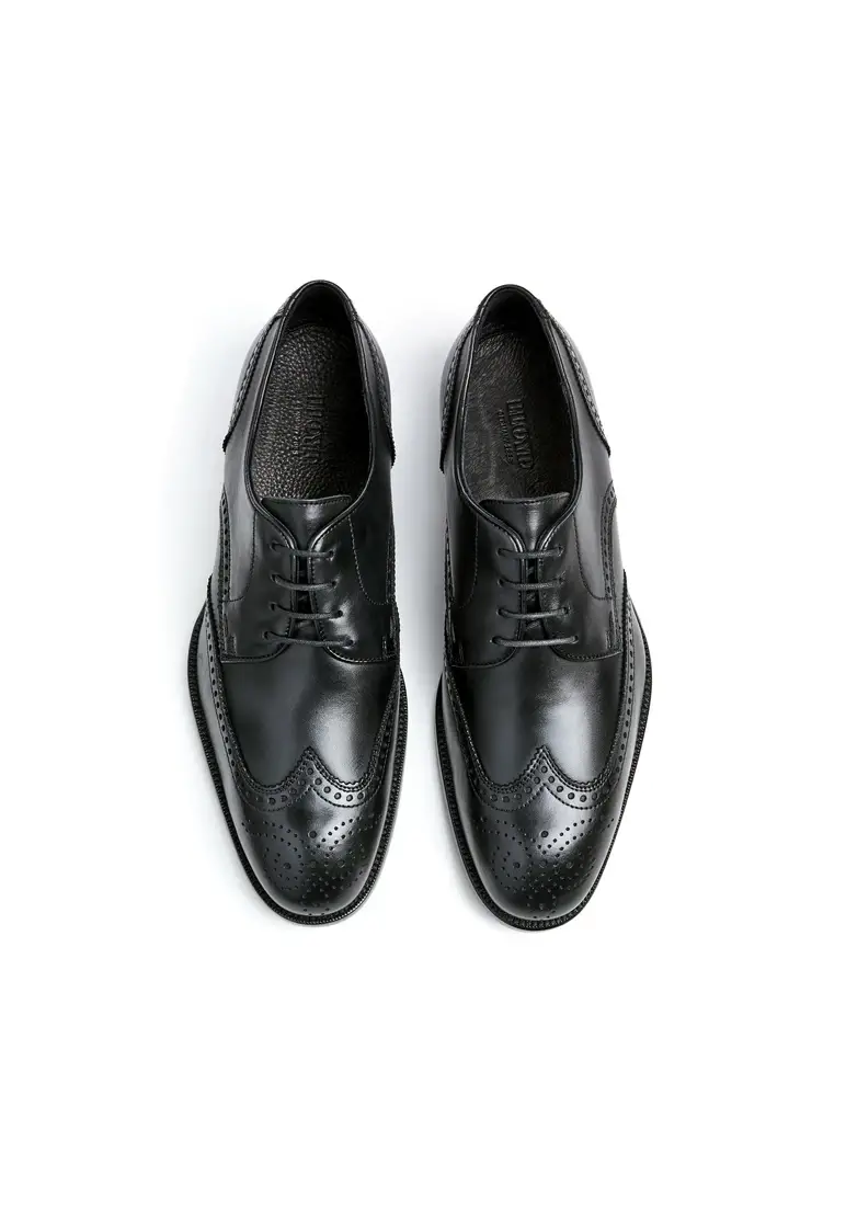 Lloyd STAFFORD Art. 23-716-00 Bis zu 65% Rabatt